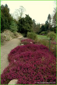 Schloss Sanssouci